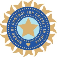 INDIA logo